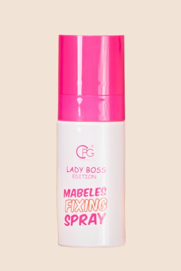 fixing spray2 fixing spray2