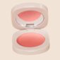 powder blusher coral4