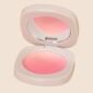 powder blusher pink5